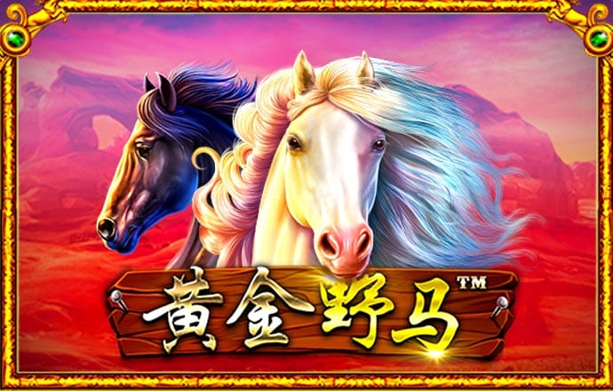 凤凰彩票老版安卓手机app下载